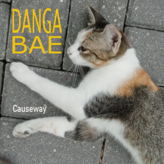 Causeway