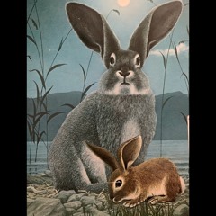 Kaninchenbau (Radikarl & Fader Lustig)