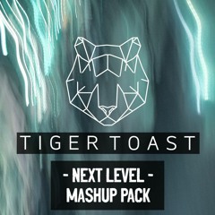 Tiger Toast 'Next Level' Mashup Pack (2022) [15 TRACKS]