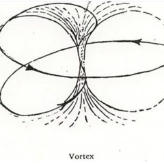 The Host