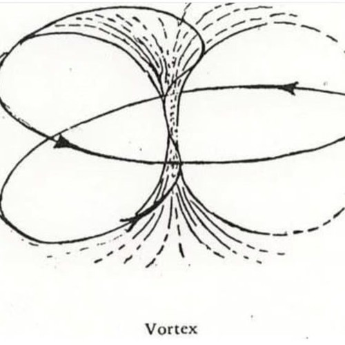 The Host