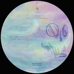 PREMIERE: dot13 -  Shaolin Satellite [PVV001]