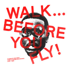 Walk... Before You Fly!