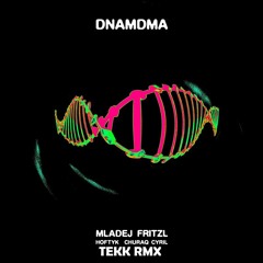 MLADEJ FRITZL - DNAMDMA ft. HOFTYK, CHURAQ CYRIL [TEKK RMX BY S!KE]