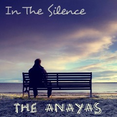 In The Silence (acoustic)