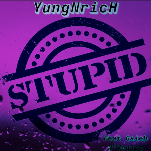 StUpiD (Feat. Caleb N’Venice)