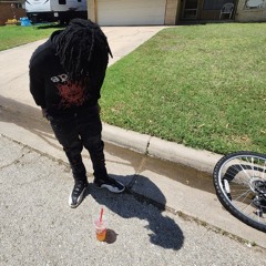 my fate🥀 BabyShark  feat.zer0xthrash