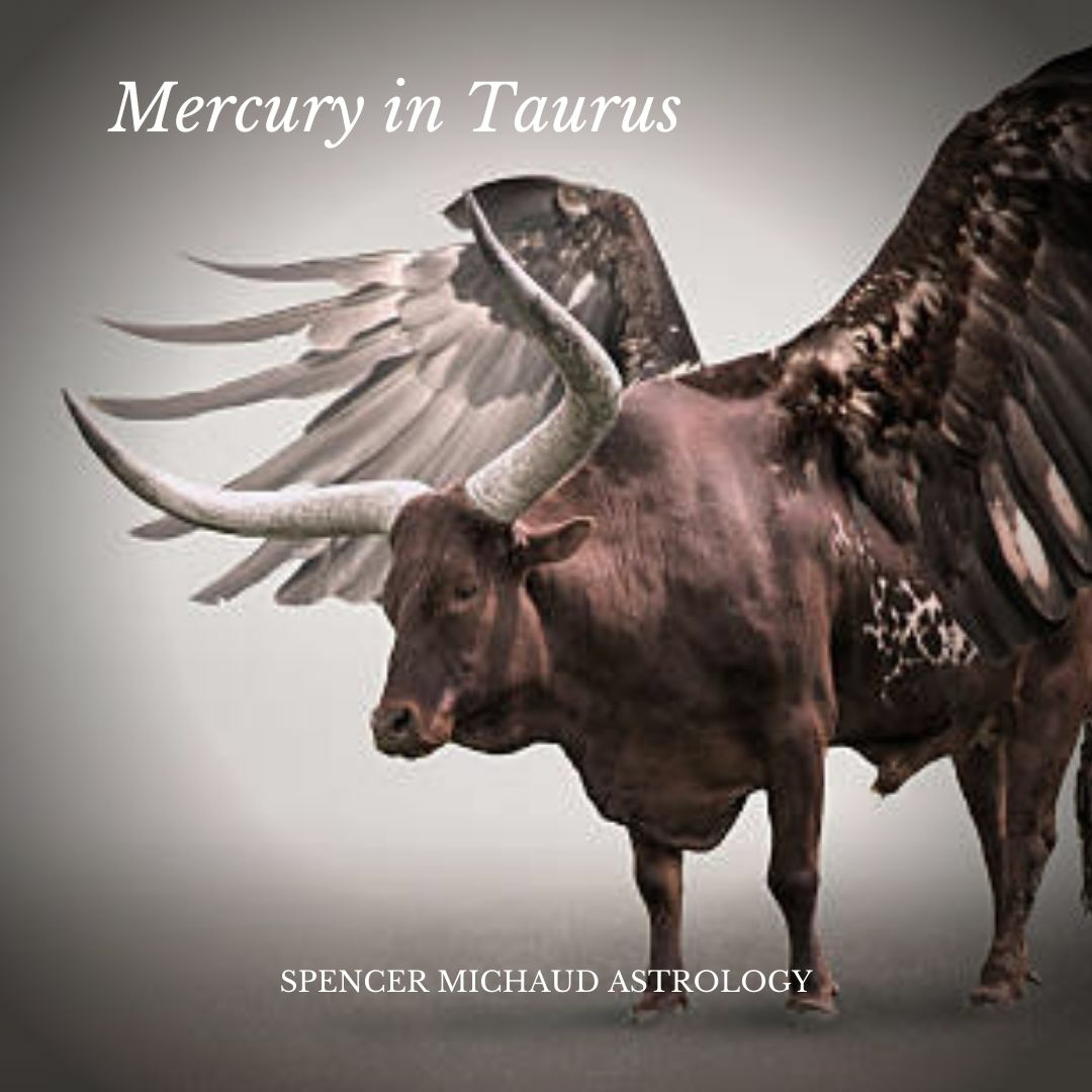 Spencer Michaud Astrology