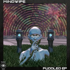 Mindwipe - Vexed