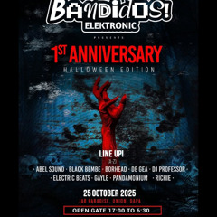 borhead @ Bandidos Elektronic 261025