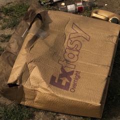 Webmistress - U felt it too