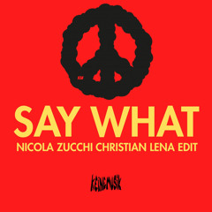 Say What (Nicola Zucchi Christian Lena Edit)