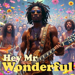 Hey Mr Wonderful