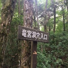 plgthg - ♯aokigahara