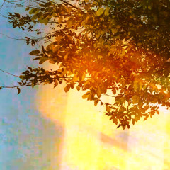 Paralleldreams (VVINDOVV Lucids Remix)