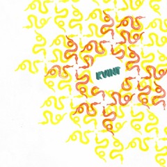RCMX006 Kvint