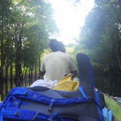 D302 Boat Engine Cuts