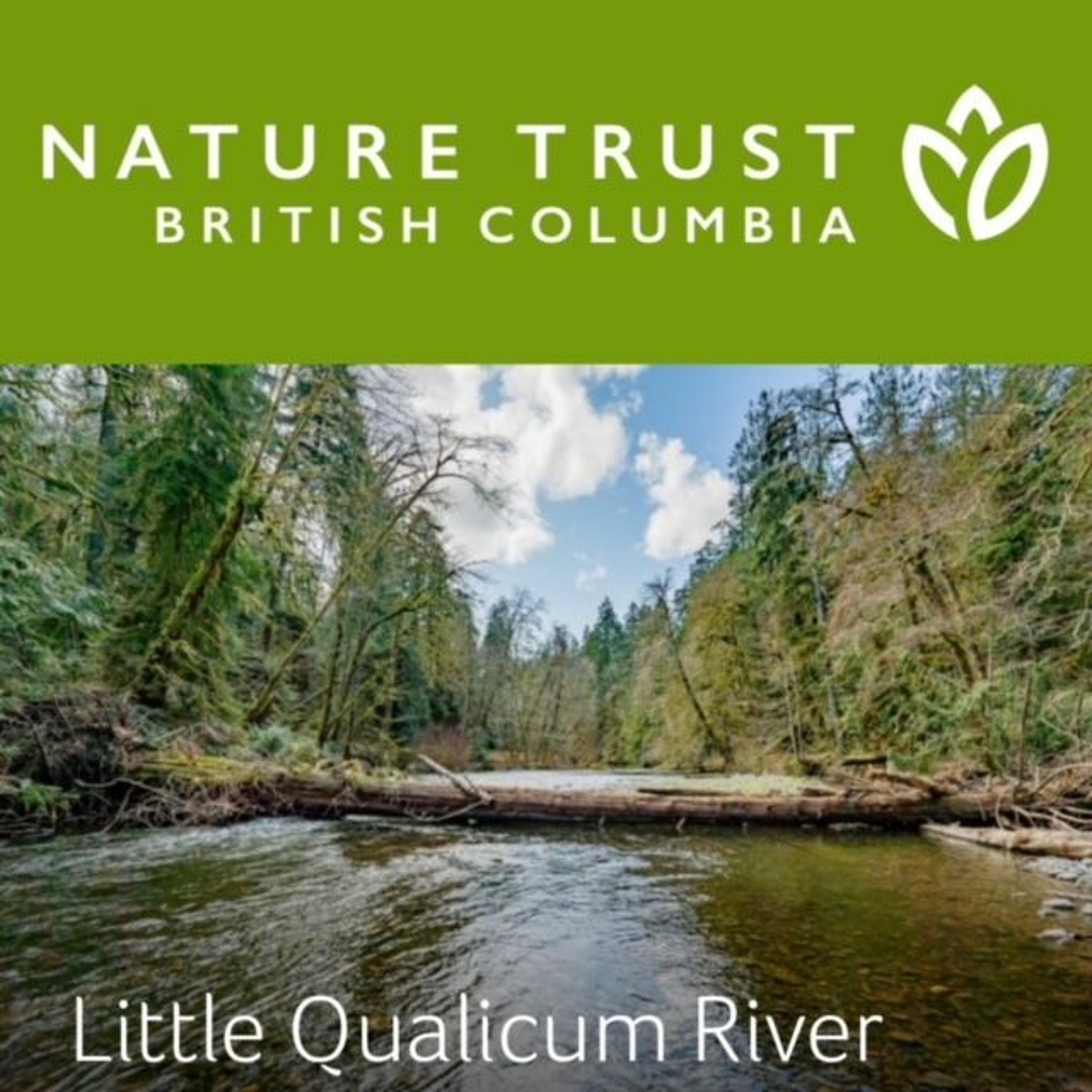 Fly Fishing 97 Podcast