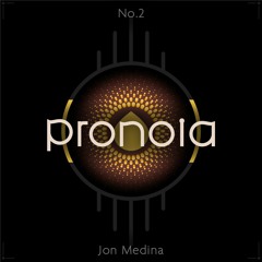 Pronoia {No. 2}