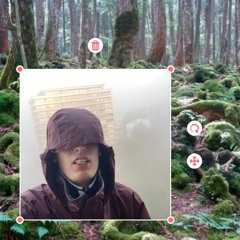 aokigahara forest (prod. pietje de dood)