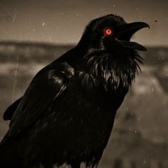 Corvus Corax