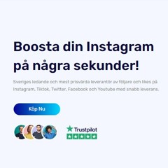 BoostKungen - Mest Prisvärda Leverantör Av Följare Och Likes