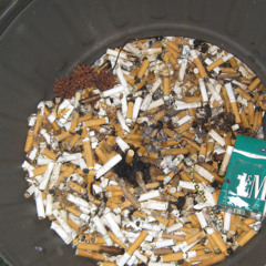 i clearly have anger problems