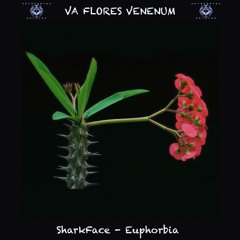 13. Sharkface - Euphoria (217) (New version) - CinderVomit Master - VA FLORES VENENUM