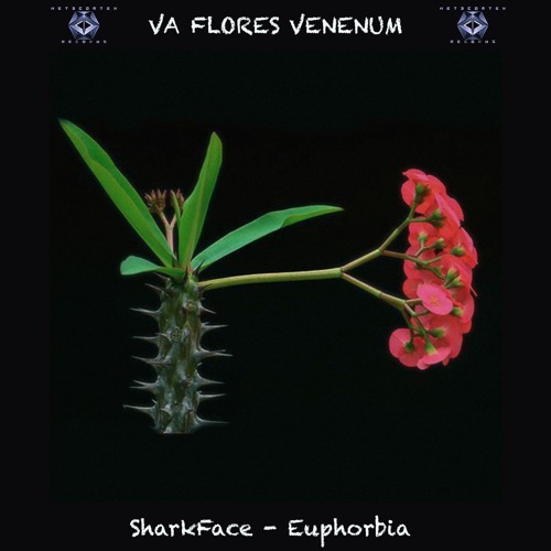 13. Sharkface - Euphoria (217) (New version) - CinderVomit Master - VA FLORES VENENUM