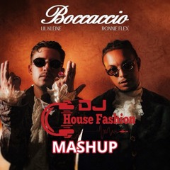 Lil Kleine, Tiesto - Boccaccio Trafic (House Fashion mashup)