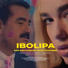 Ibolipa - Dom Dom Kursunu
