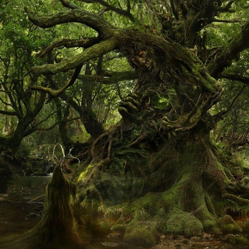 Espiritus Del Bosque