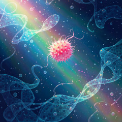 Amoeba