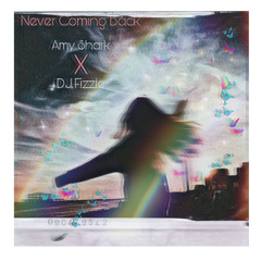 Never Coming Back - Amy Shark - DJ Fizzle Remix