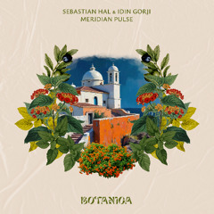 Sebastian Hal, Idin Gorji - Meridian Pulse [Botanica]