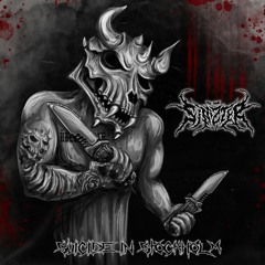 SUICIDE IN STOCKHOLM (prod. Zanda)