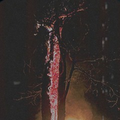 "O'L ONE EYE"  [PROD. ZEETERNAL]