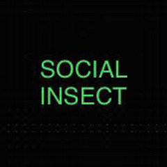 Social Insect
