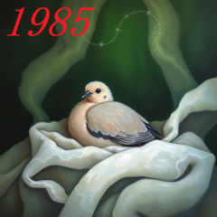 1985 right  sock