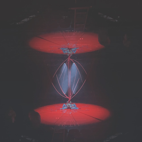 a shovel to love him