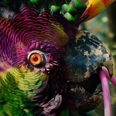 Flume - Palaces (cho edit)