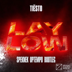 Tiesto - Lay Low (Speknek Uptempo Bootleg)