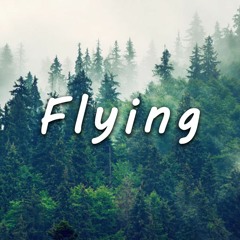 Flying