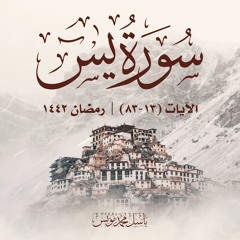 واضرب لهم مثلًا أصحاب القرية | سورة يس | الآيات 13-83 | باسل محمد مؤنس | رمضان 1442