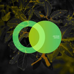 Jam Rumi - Vertigo (Original Mix) [AREA VERDE] // Progressive House Premiere