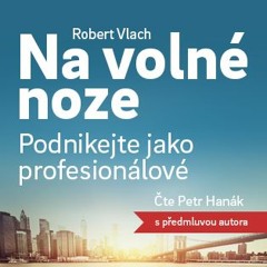 Robert Vlach | Na volné noze: Podnikejte jako profesionálové | Melvil.cz
