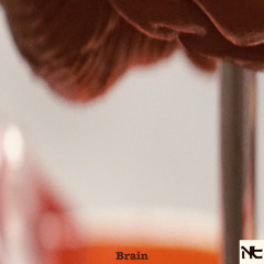 Brain (Prod. By Nerdteck)