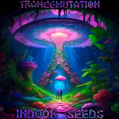 Trancemutation- Indoor Seeds (Original Mix)