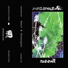 WEEVIL "Metalorganic" mixtape side A - excerpt