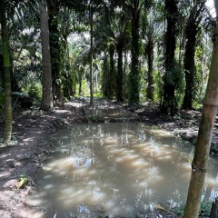 DJ JOANA BREAKBEAT SOUND POSTTAMBANG.ID VIRAL TIKTOK 2023.m4a